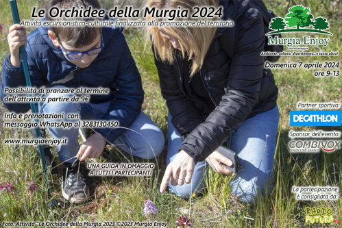 Le orchidee della Murgia 2024