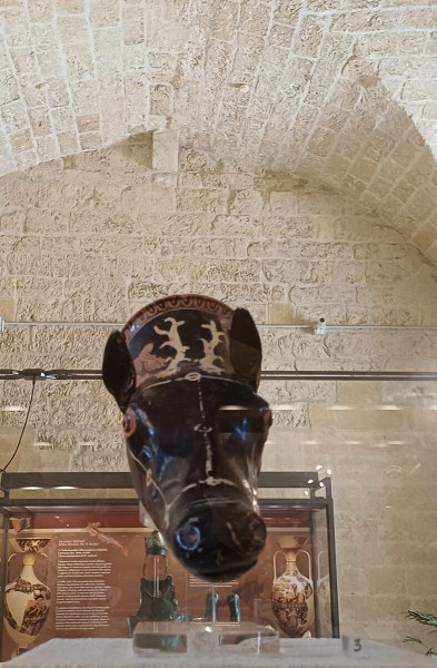 #DomenicalMuseo Nazionale Archeologico-Castello Normanno Svevo