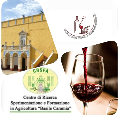 Visita guidata con degustazione di vini provenienti da antichi vitigni autoctoni della Valle d'Itria