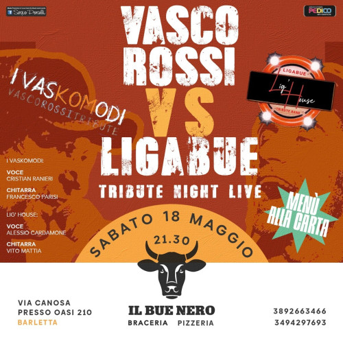 VASCO vs LIGABUE tribute night live a Barletta