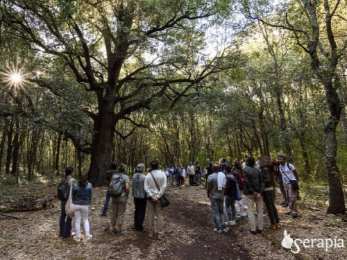 Lincantevole Bosco delle Pianelle