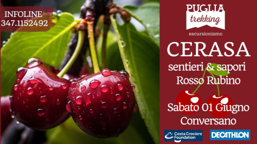 CERASA sentieri e sapori Rosso Rubino