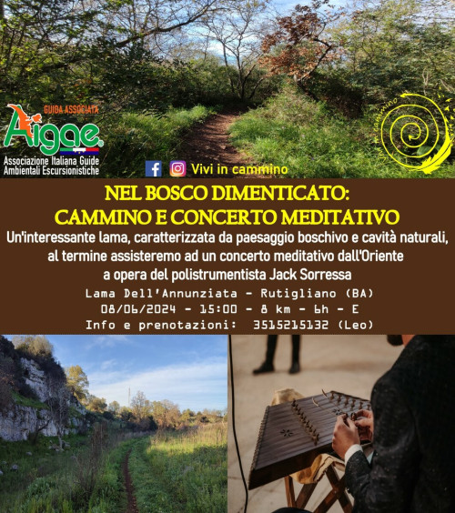 Nel bosco dimenticato: cammino e concerto meditativo