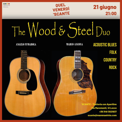 The Wood & Steel Duo live per Quel Venerdì 'Scante