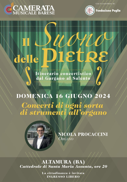 Nicola Procaccini in concerto per IL SUONO DELLE PIETRE