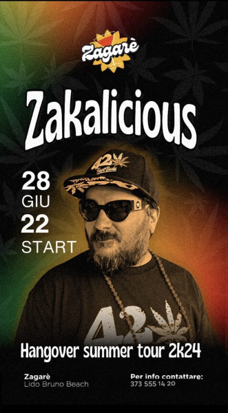 Hangover Summer Tour 2k24