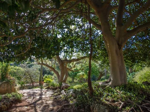 Viaggio nel mondo in giardino