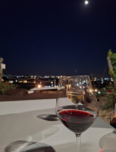 "Sesso e vino". Conversazioni in Vigna.
