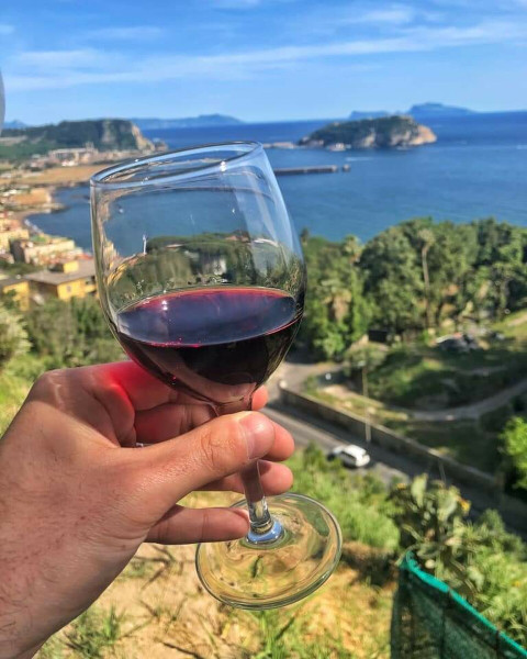 Jazz in Vigna: Musica, Cibo e Vino nei Vigneti dei Campi Flegrei
