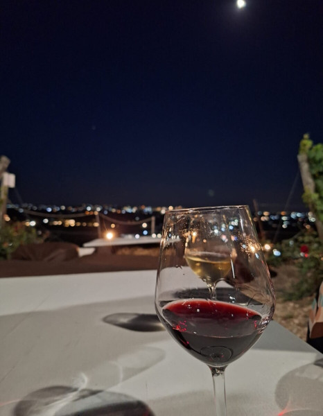 Donne e vino. Conversazioni in Vigna.