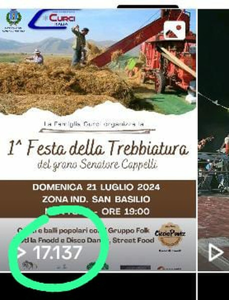 1^ Festa della Trebbiatura grano Senatore Cappelli