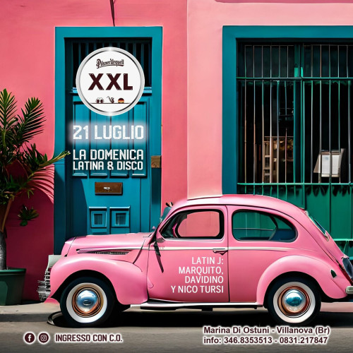 Domenica latina XXL