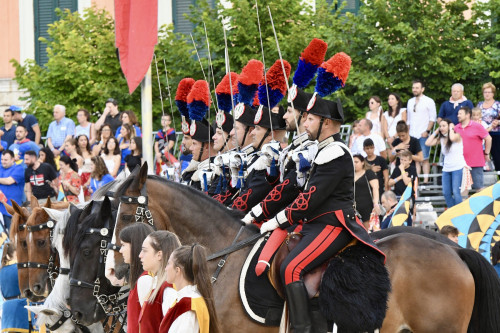 Al Senato: Il cavallo contro il bullismo