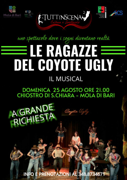 "Le ragazze del coyote ugly" il musical