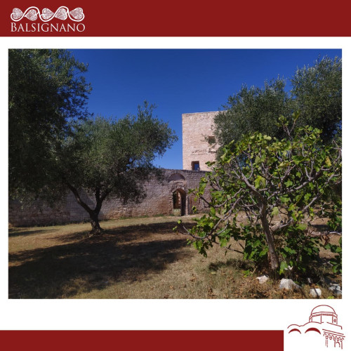 Visite alla scoperta di Balsignano