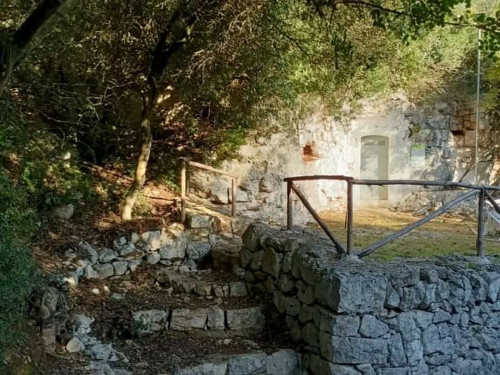 Festa di San Donato alla Selva
