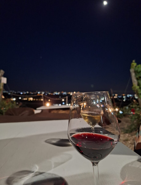 "Uscimmo a riveder le stelle..." Vino sotto le stelle