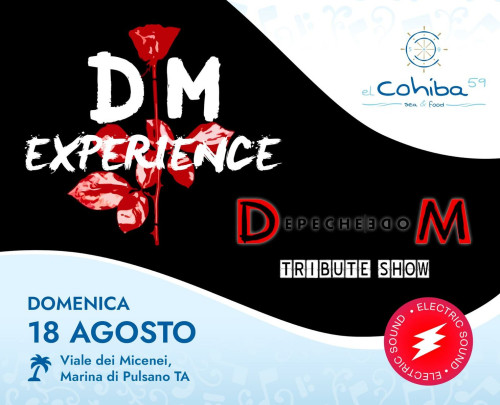 DM Experience tribute show