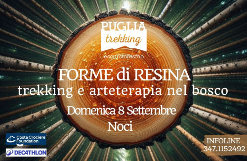 Noci – FORME DI RESINA trekking e arteterapia nel bosco