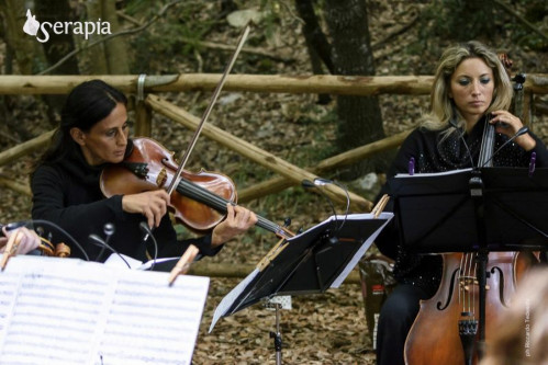 Concerto d'archi nel bosco