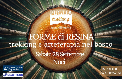 FORME DI RESINA Trekking e arteterapia nel bosco