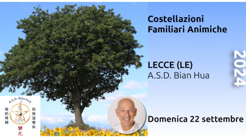 Costellazioni Familiari Animiche