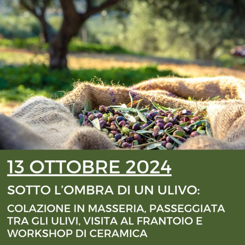 Fasano – SOTTO L&apos;OMBRA DI UN ULIVO: COLAZIONE IN MASSERIA, PASSEGGIATA TRA GLI ULIVI, VISITA AL FRANTOIO E WORKSHOP DI CERAMICA