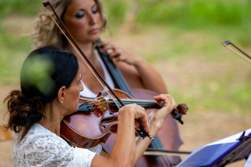 Concerto d'archi nel bosco