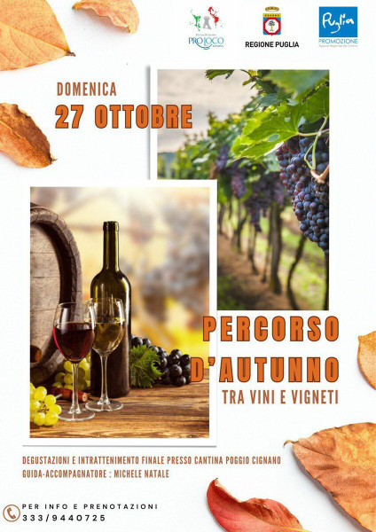 Percorsi D'Autunno - Tra Vini e Vigneti