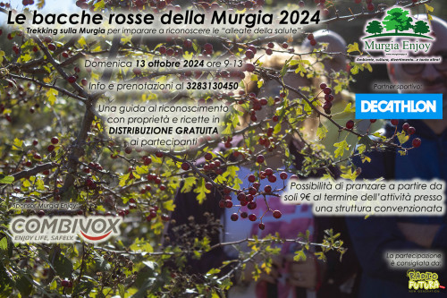 Le bacche rosse della Murgia 2024