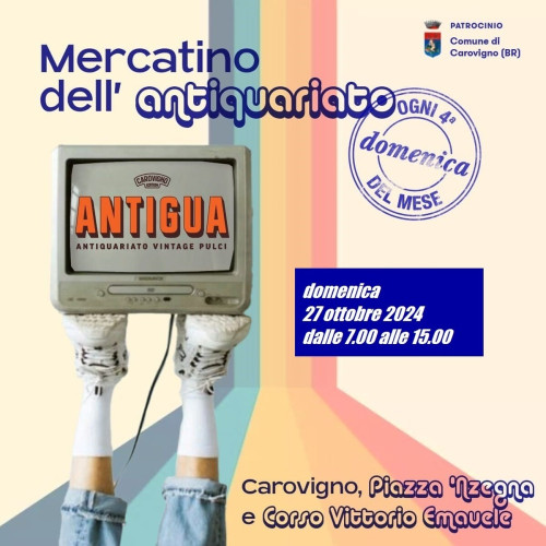 Mercatino Antigua : un viaggio nel tempo tra antiquariato, vintage e tesori nascosti!