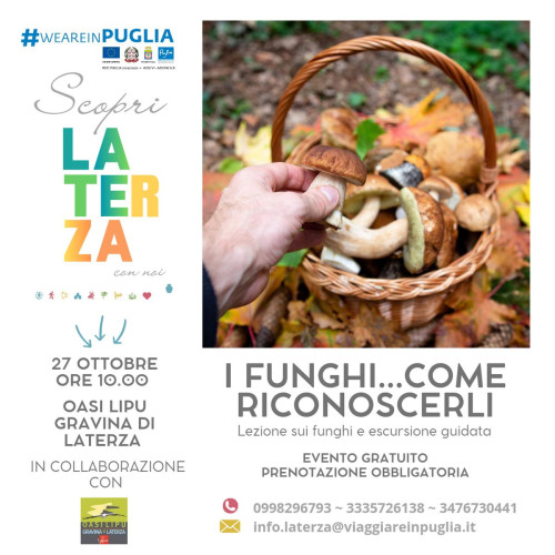 I funghi... Come riconoscerli