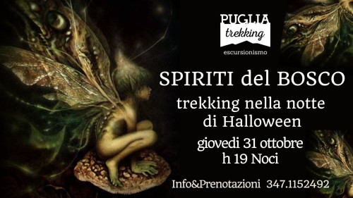 SPIRITI DEL BOSCO trekking nella notte di Halloween