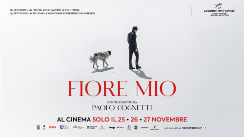 Un fine Novembre da Grande Cinema in POLIGNANO A MARE con eventi e anteprime dai festival di Roma, Giffoni, Venezia, Cannes e Berlino