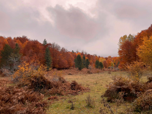 I colori dell'autunno - Parco Nazionale della Sila