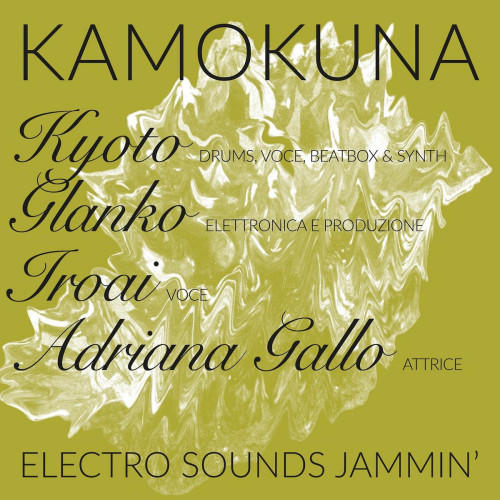 KAMOKUNA - Electro Sounds Jammin'