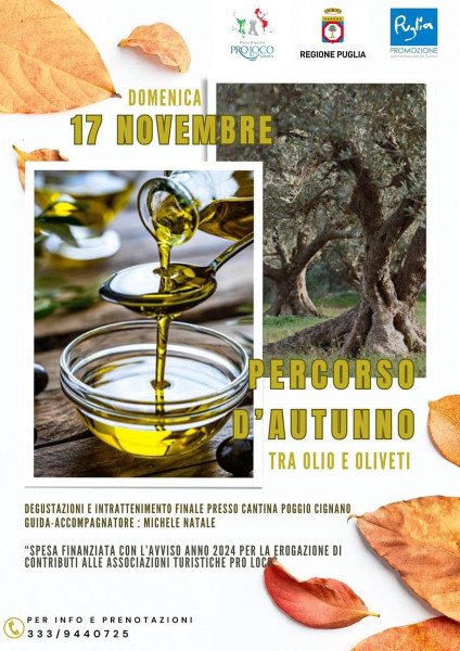 Percorsi D'Autunno tra olio e uliveti