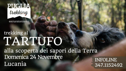 TREKKING AL TARTUFO Alla scoperta dei sapori della terra