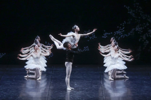 Il Debutto del Tokyo Ballet