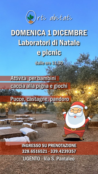 Laboratori di Natale e picnic nell'uliveto