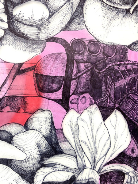 MOSTRA AOCF58