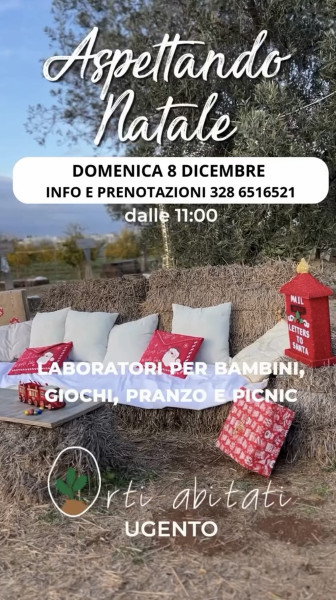 Aspettando Natale nell'uliveto - laboratori creativi, giochi, picnic