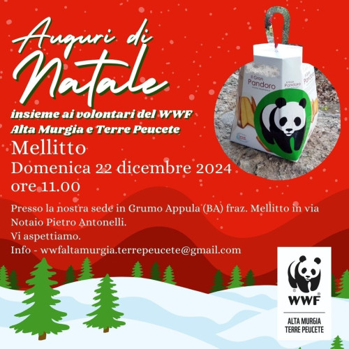 Auguri di Natale con il WWF