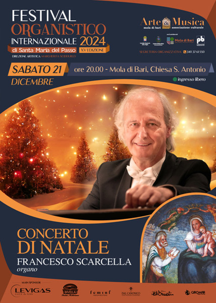 Concerto di Natale con Francesco Scarcella, organo