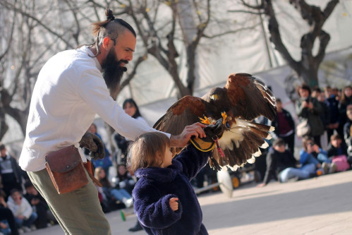 Anche SPETTACOLI DI FALCONERIA per il "Natale Medievale" a Manduria, sabato 21 dicembre