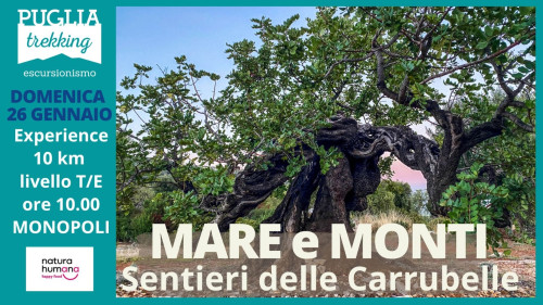 MARE E MONTI sentieri delle carrubelle