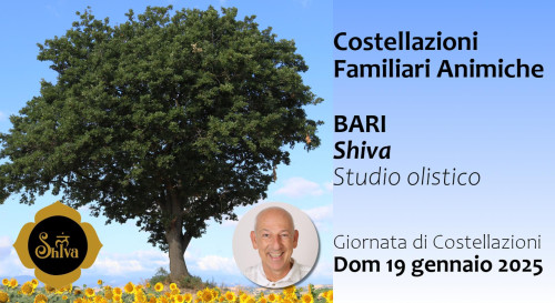 Giornata di Costellazioni Familiari Animiche