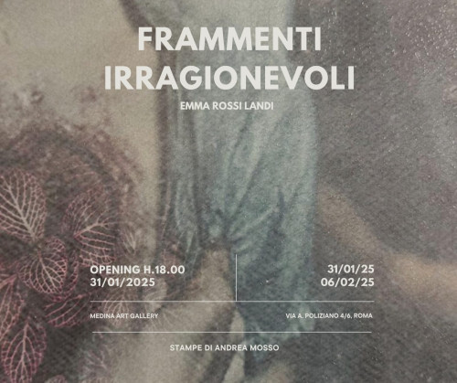 Frammenti irragionevoli, la mostra di Emma Rossi Landi