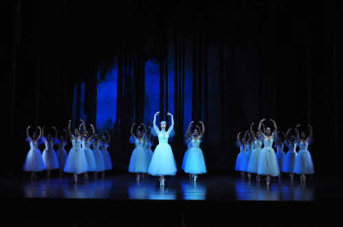 Il Balletto di Maribor in Giselle Inaugura la Rassegna Danza del Teatro Ponchielli di Cremona il 25 Gennaio