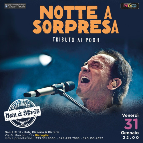 Notte a Sorpresa - Tributo ai Pooh a Bisceglie